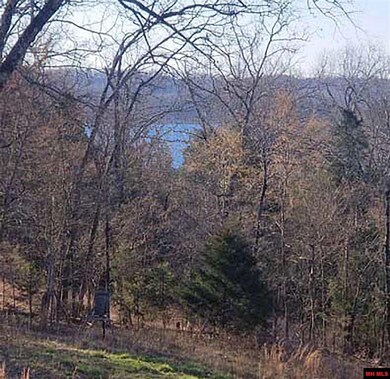 76 County Road 155, Elizabeth, AR 72531 - photo 2