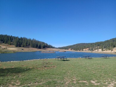 Community pond 3