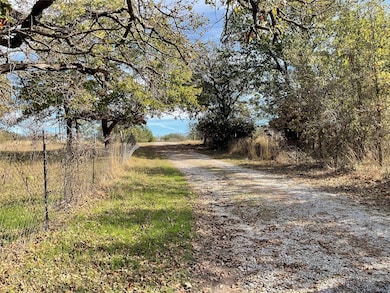 125 Rock Salt Ct, Springtown, TX 76082 - photo 4