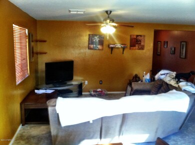 Photo3