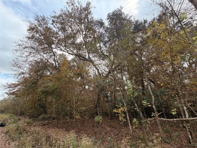 Lot 11 284th Terrace, Branford, FL 32008 - photo 4