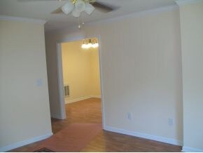 717 E Maple St, Johnson City, TN 37601 - photo 3