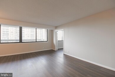 5501 Seminary Rd unit 1914S, Baileys Crossroads, VA 22041 - photo 4