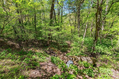TBD Whispering Woods Path, Mars Hill, NC 28754 - photo 4