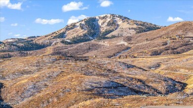 21-1708 W Centaur Ct, Mayflower Mountain