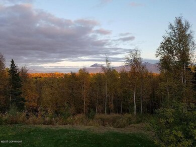 MOUNTAIN VIEWS