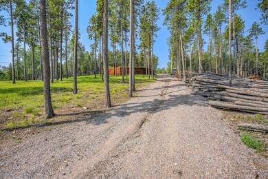 8641 S Warhawk Rd, Conifer, CO 80433 - photo 5