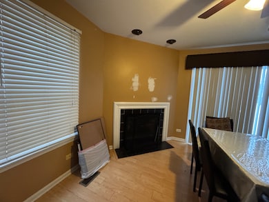 3281 Cool Springs Ct, Naperville, IL 60564 - photo 4