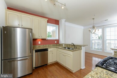 41988 Blue Flag Terrace, Stone Ridge, VA 20105 - photo 4