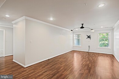 4550 Chaucer Way unit 206, Owings Mills, MD 21117 - photo 7