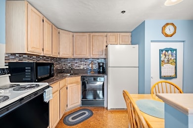 200 Falls Blvd unit C308, Quincy, MA 02169 - photo 5