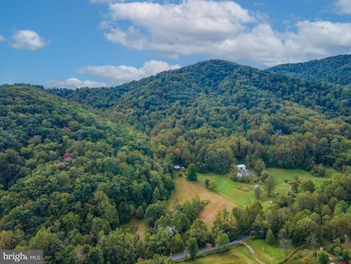 1463 Quaker Run Rd, Banco, VA 22711 - photo 7