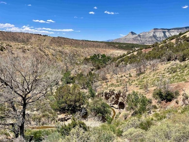 TBD 2 County Road 300, Parachute, CO 81635 - photo 6