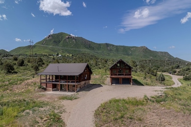 44501 N Hwy 160, Mancos, CO 81328 - photo 3