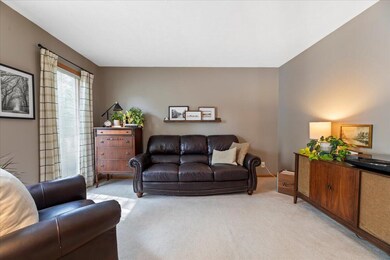 16906 Orchard Ave, Omaha, NE 68135 - photo 5