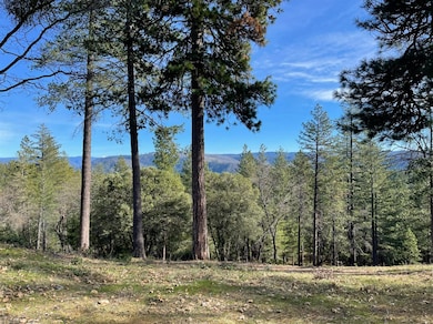 view of mountain background with a wooded area. Under brush has all been cleared out