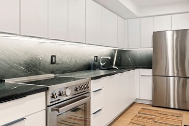 73 Worcester St unit 1, Boston, MA 02118 - photo 5