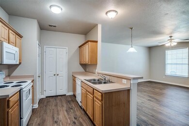 225 Wyndham Meadows Way, Wylie, TX 75098 - photo 7