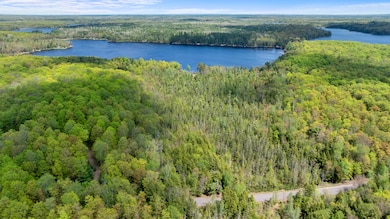 9.63 acres of wooded land