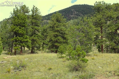 0 W Highway 24 Hwy unit 3329000, Lake George, CO 80827 - photo 4