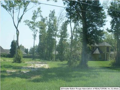 mature trees remaining