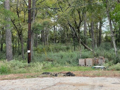 715 Creek Crossing, Magnolia, TX 77355 - photo 7