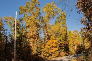 0 Leiston Ln, Bella Vista, AR 72714 - photo 5