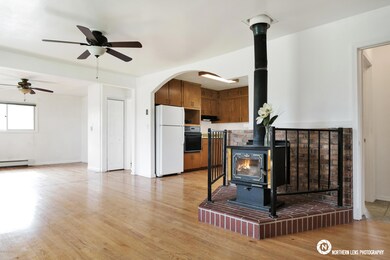 Wood Burning Stove