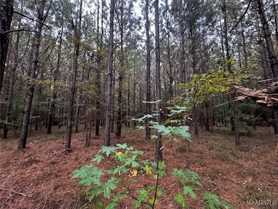 00 Coon Hop Rd, Hardaway, AL 36039 - photo 6