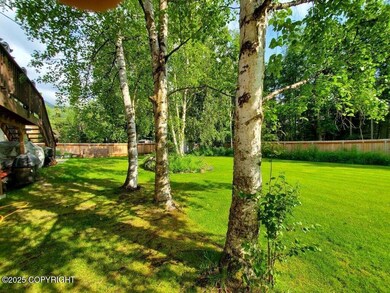 Back Yard 02