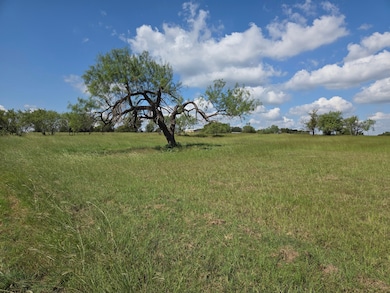 Lot 130 Lake Vista Dr, Streetman, TX 75859 - photo 4