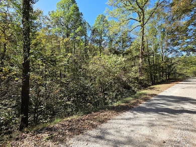 0 Newells Run Rd, Marietta, OH 45750 - photo 7