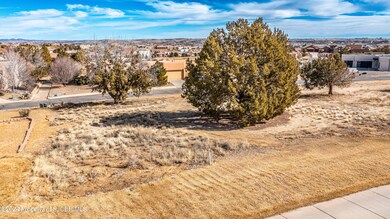 6405 Old Course Dr, Farmington, NM 87402 - photo 4