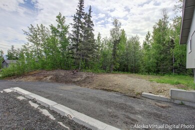 1540 N Wagon Rd, Palmer, AK 99645 - photo 2
