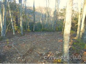 85 Smokey Ridge Trail unit 193, Arden, NC 28704 - photo 6