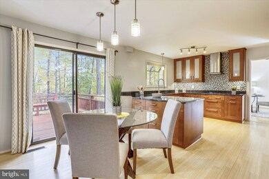 12 Scotch Mist Ct, Potomac, MD 20854 - photo 7