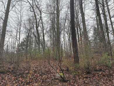 40 Forest Way Cir, Burnside, KY 42519 - photo 4