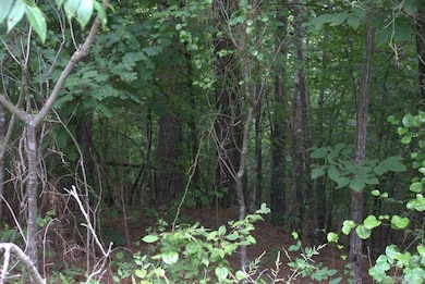 0 Chris Ln unit 25028271, Amity, AR 71921 - photo 3