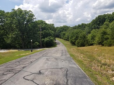 Lot 36 Buttonwood, Kimberling City, MO 65686 - photo 2