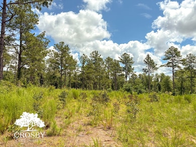 0 Hollow Creek Farm Rd, Aiken, SC 29803 - photo 2