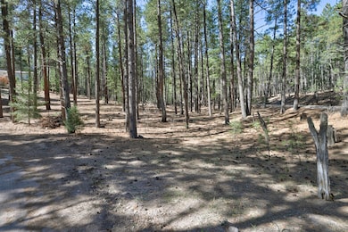 Lot B Lands of Hotch Fr 10, Jemez Springs, NM 87025 - photo 5