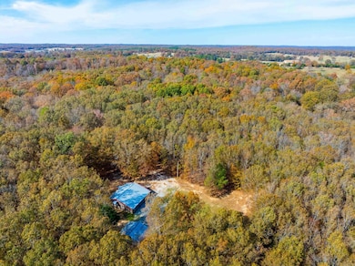 253 Judge Anderson Rd, Strawberry, AR 72469 - photo 2