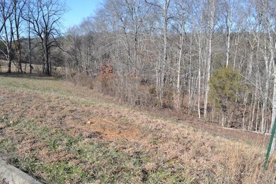 Atala Trail pic 3