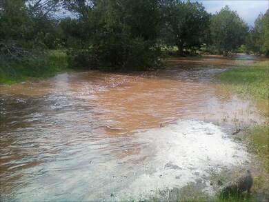 Lot 56 Juniperwood Ranch, Ash Fork, AZ 86320 - photo 6