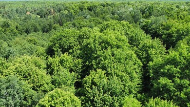 ON Cth J, Cty J, WI 54424 - photo 3