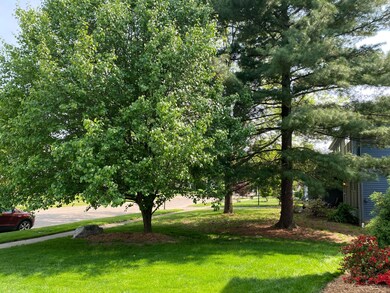 Treed side yard for privacy and beauty
