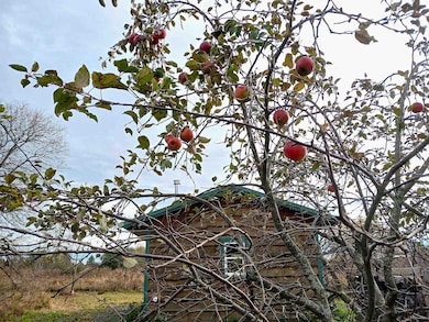 6163 Mill Rd, Arpin, WI 54410 - photo 5