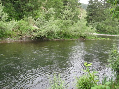 Track River - photo from the yard