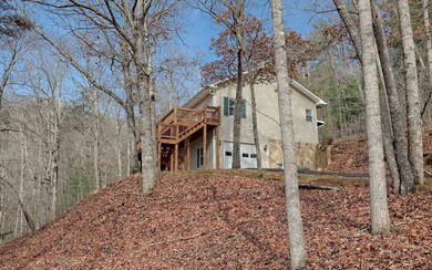 Additional View