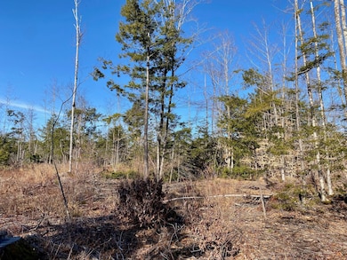 Lot 5 N Gorham Rd, Gorham, ME 04038 - photo 3